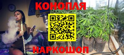 jwh Будённовск