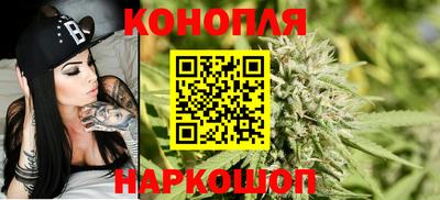 jwh Будённовск