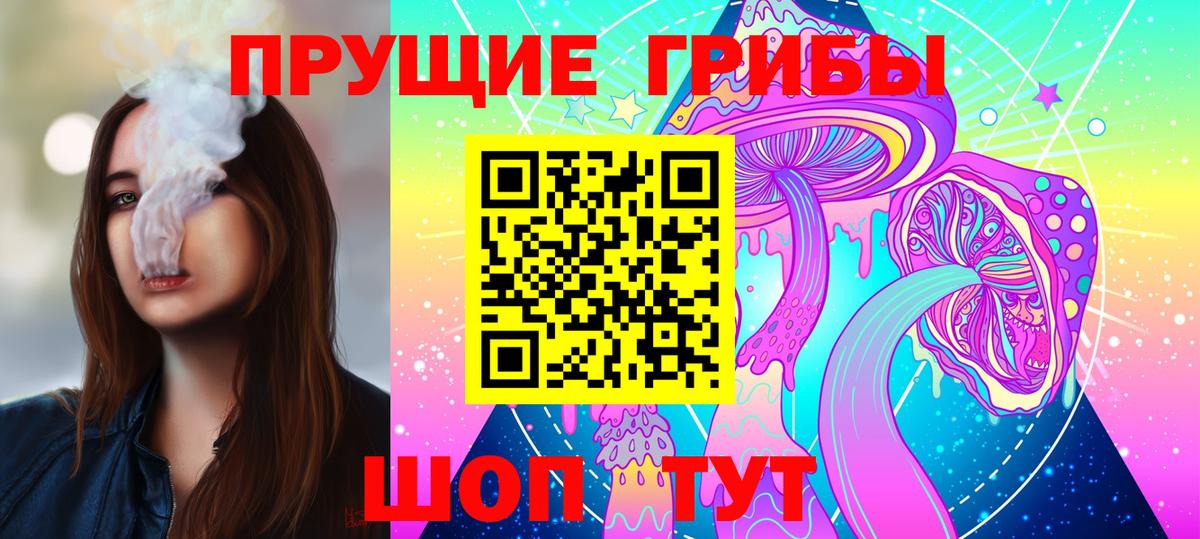 Находка  Галлюциногенные грибы Psilocybe  Вход с VPN 