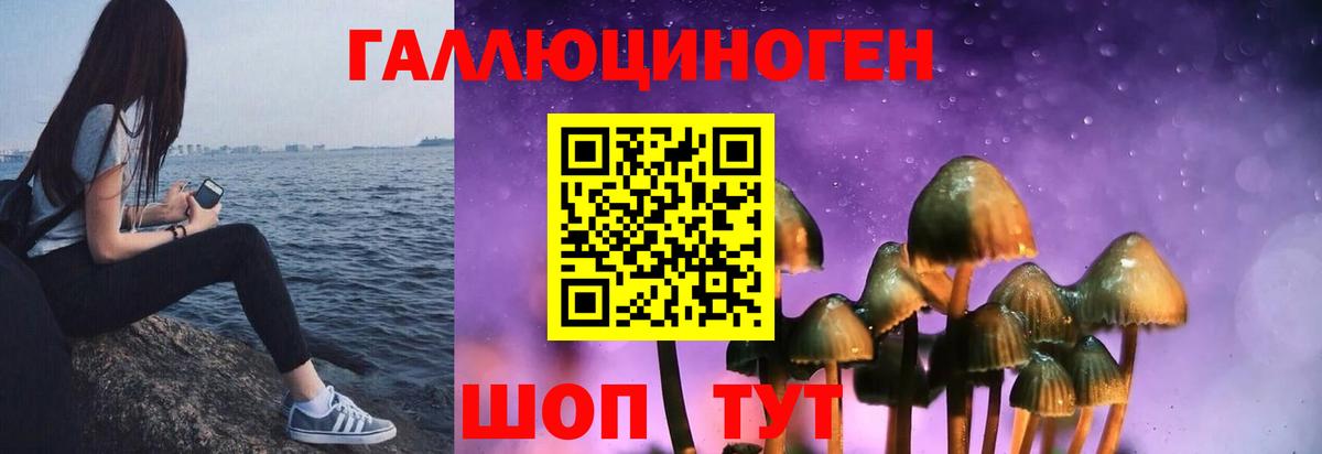 Псилоцибиновые грибы Psilocybe Находка